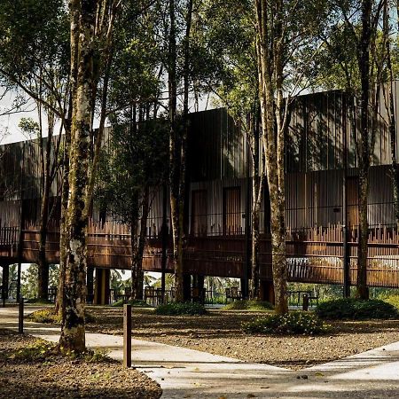 Teras Hotel Ijen Banyuwangi Banyuwangi  Exteriör bild